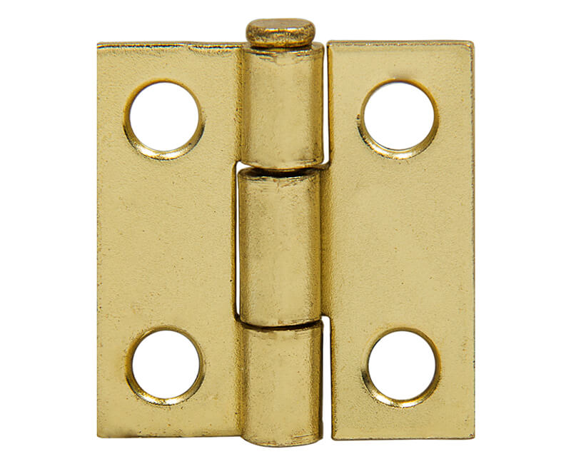 Utility Hinge With Screws - Brass Plated